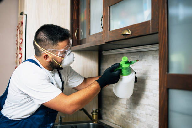 Flea Control Services in Northville, MI