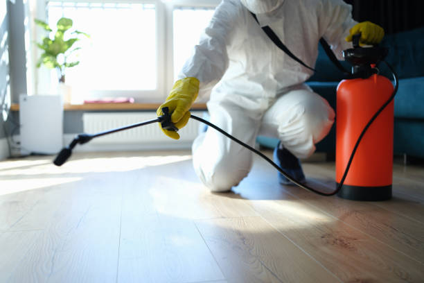 Best Pest Control for Homes  in Northville, MI