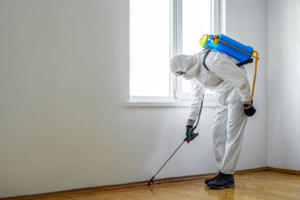 Best Affordable Pest Control Services  in Northville, MI