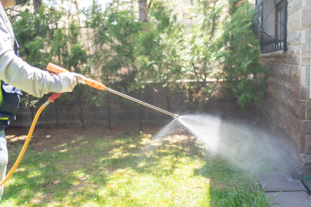 Best Emergency Pest Control  in Northville, MI